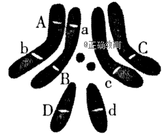 www.xiangpi.com