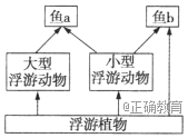 www.xiangpi.com