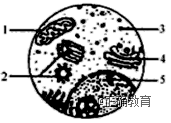 www.xiangpi.com