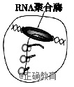 www.xiangpi.com