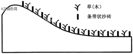 www.xiangpi.com