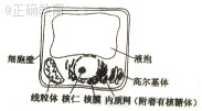 www.xiangpi.com