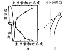 www.xiangpi.com