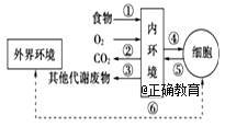 www.xiangpi.com
