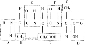 www.xiangpi.com