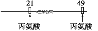 www.xiangpi.com