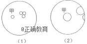 www.xiangpi.com