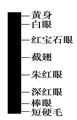 www.xiangpi.com
