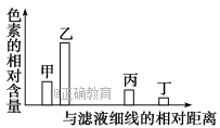 www.xiangpi.com