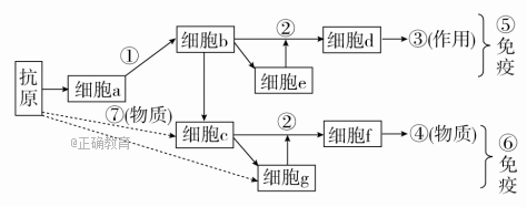www.xiangpi.com