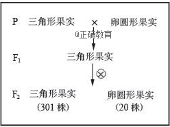 www.xiangpi.com