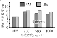 www.xiangpi.com