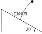 www.xiangpi.com