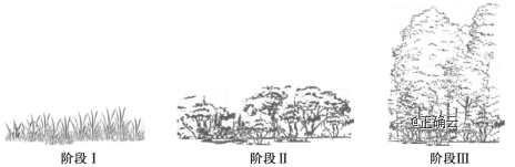 www.xiangpi.com