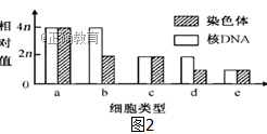www.xiangpi.com