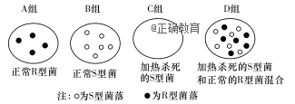 www.xiangpi.com