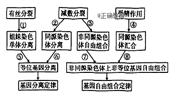 www.xiangpi.com