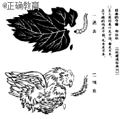 www.xiangpi.com
