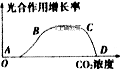 www.xiangpi.com