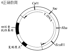 www.xiangpi.com