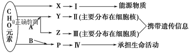 www.xiangpi.com