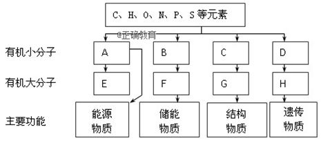 www.xiangpi.com