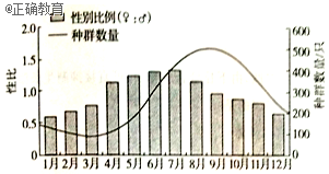 www.xiangpi.com
