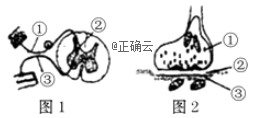 www.xiangpi.com