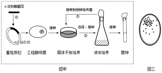 www.xiangpi.com