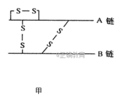 www.xiangpi.com
