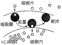 www.xiangpi.com