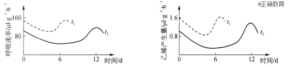www.xiangpi.com