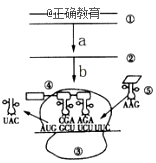 www.xiangpi.com