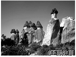 www.xiangpi.com