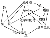 www.xiangpi.com