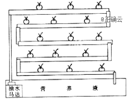 www.xiangpi.com