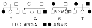www.xiangpi.com
