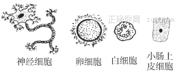 www.xiangpi.com
