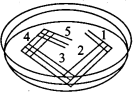 www.xiangpi.com