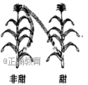www.xiangpi.com