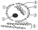 www.xiangpi.com