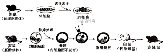 www.xiangpi.com