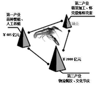 www.xiangpi.com