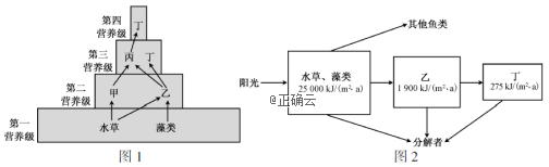www.xiangpi.com