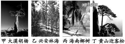 www.xiangpi.com