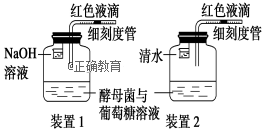 www.xiangpi.com