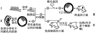 www.xiangpi.com