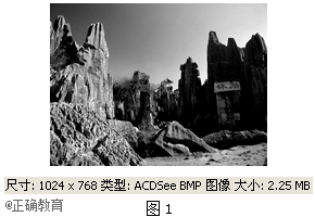 www.xiangpi.com