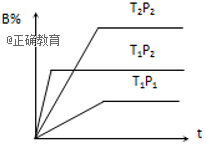 www.xiangpi.com