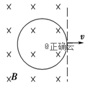 www.xiangpi.com